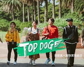 91茄子《TOP DOG》免费在线观看