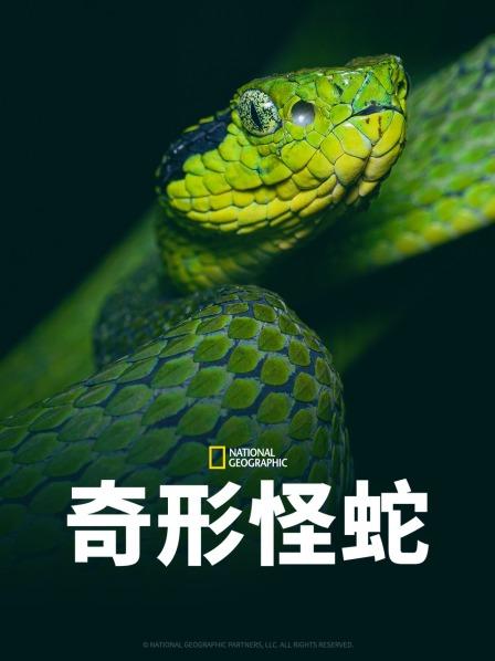 91蜜桃传播《奇形怪蛇》免费在线观看